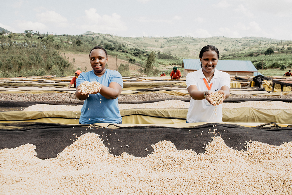 Christophe Rugira and Divine Mutuyimana, Tropic Coffee Rwanda